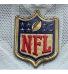 Women New England Patriots Gold NFL Logo Patch Biaog